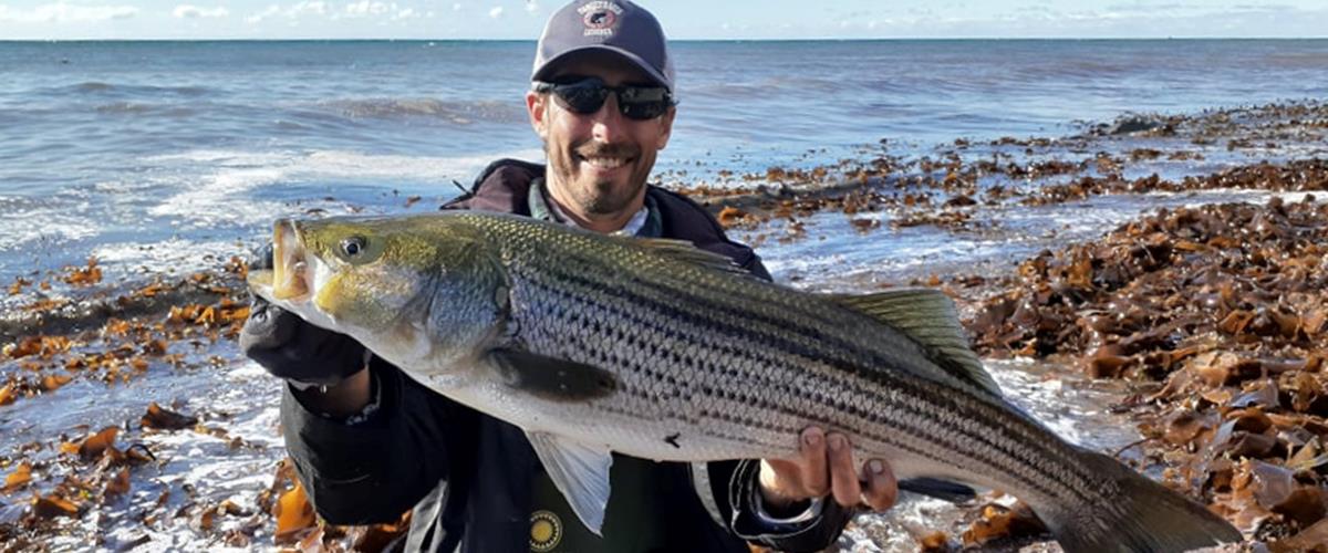 Comment s'équiper pour la pêche au bar rayé? Latulippe Comment s'équiper pour la pêche au bar rayé? Latulippe
