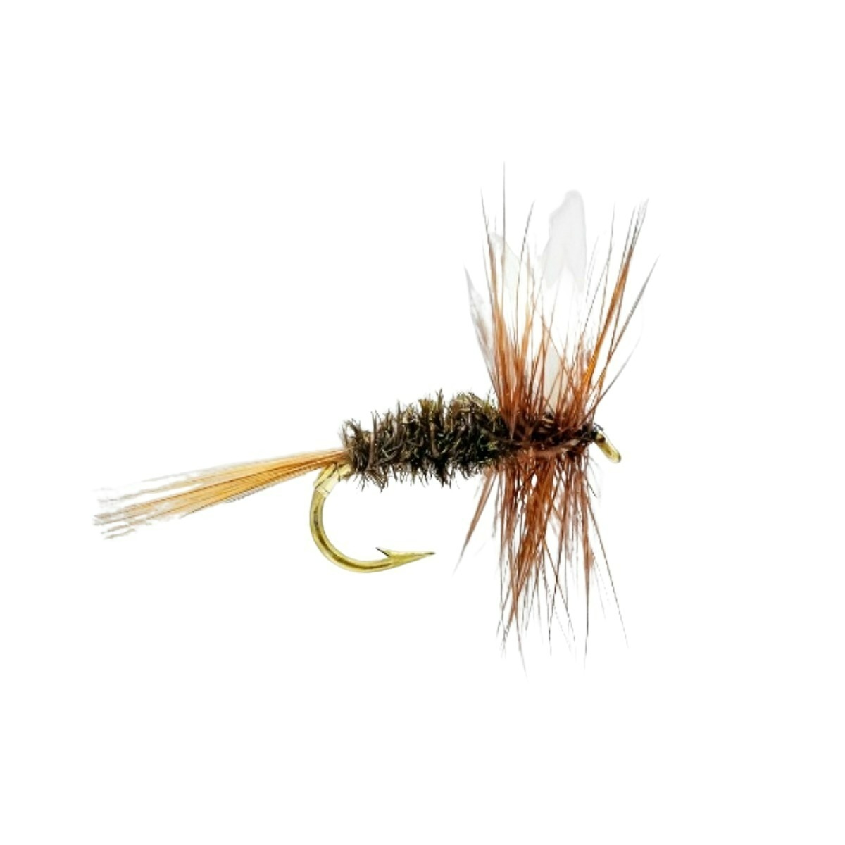 Mouches Neptune Flies - Coachman Dry Fly