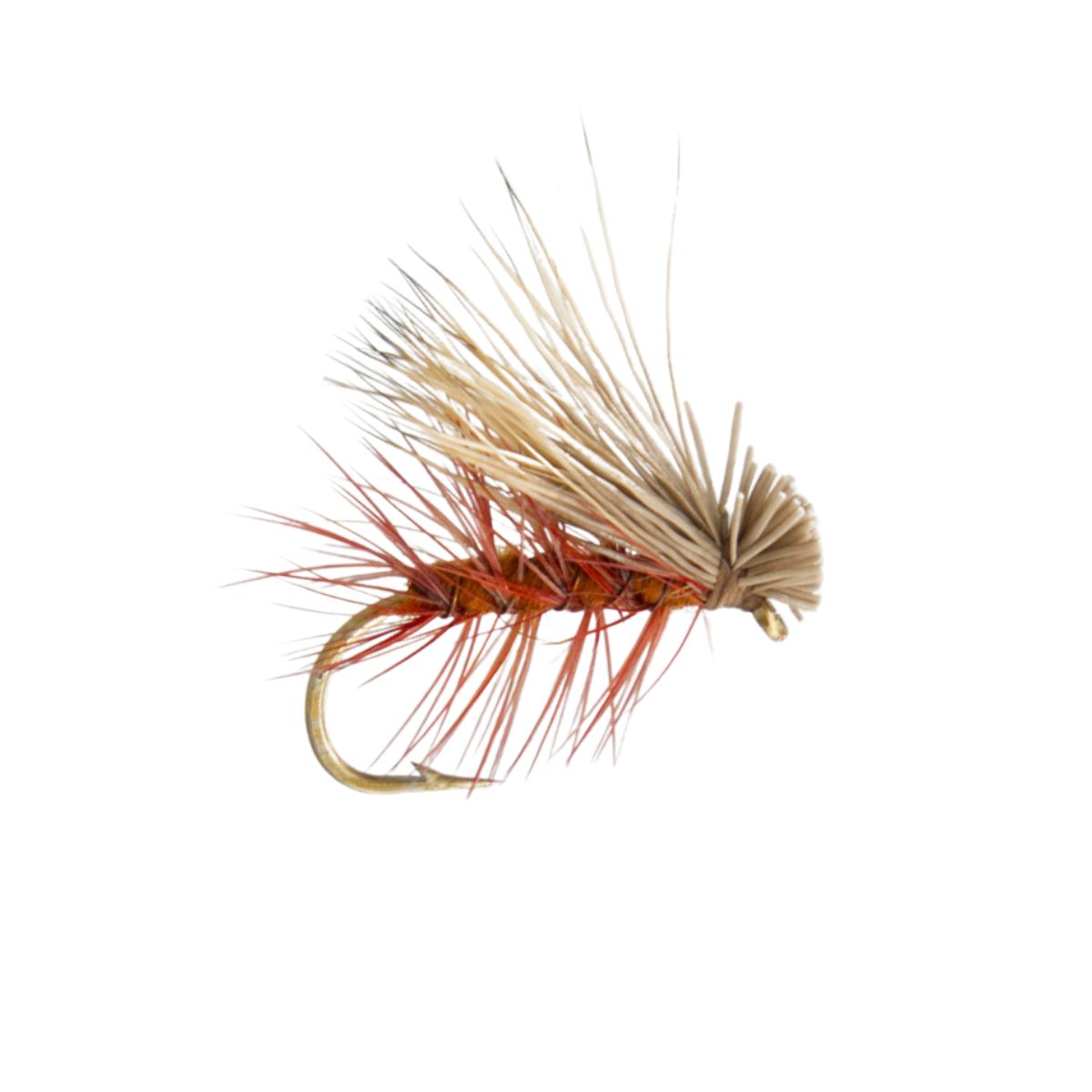 Mouches Neptune Flies - Elk Hair Caddis Dry Fly #10