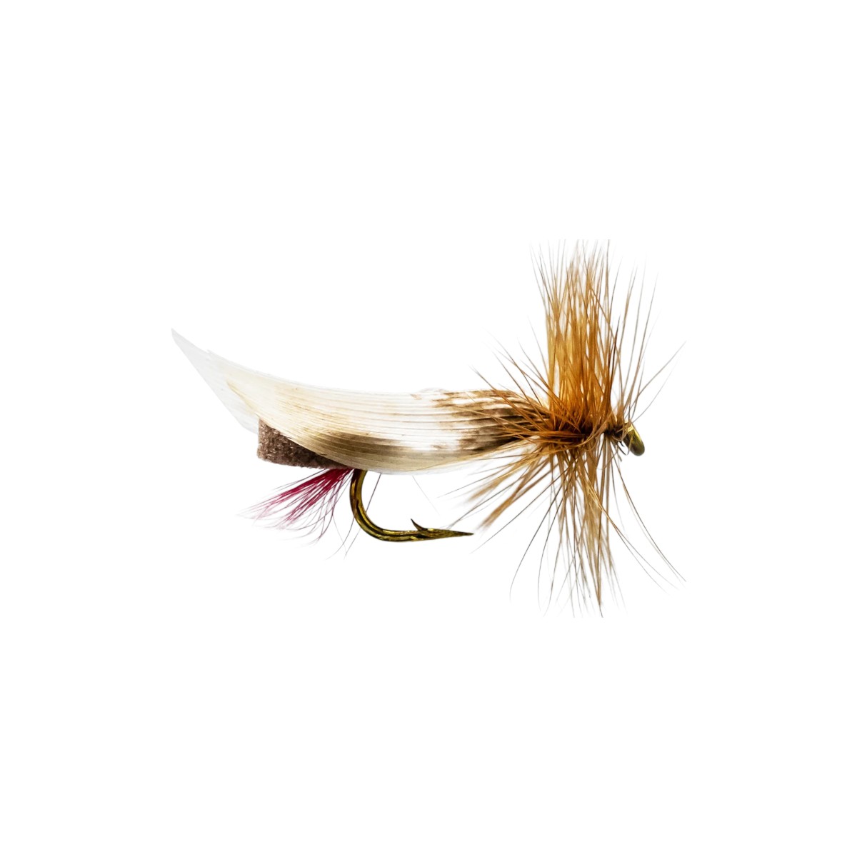 Mouches Neptune Flies - Brown Foam #10 Fly