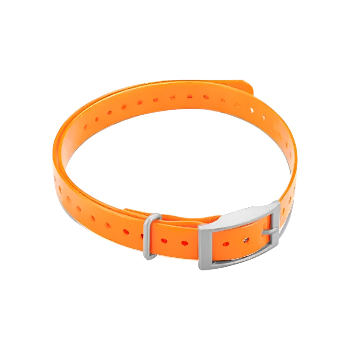 Garmin - Collier pour chien