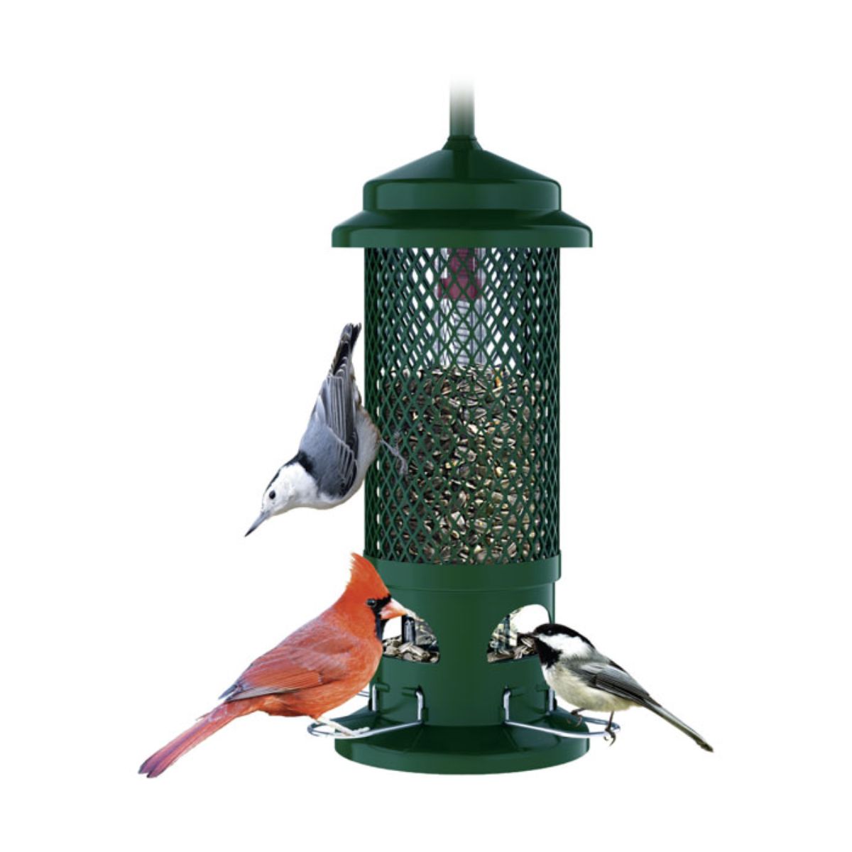 Brome Bird Care - Buster Standard Bird Feeder