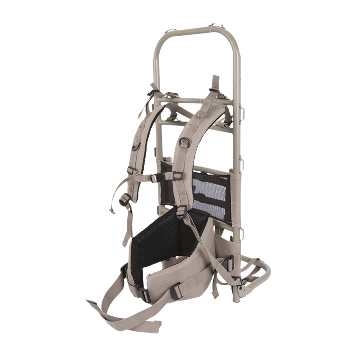 Black Bear - The Rock Transport Frame