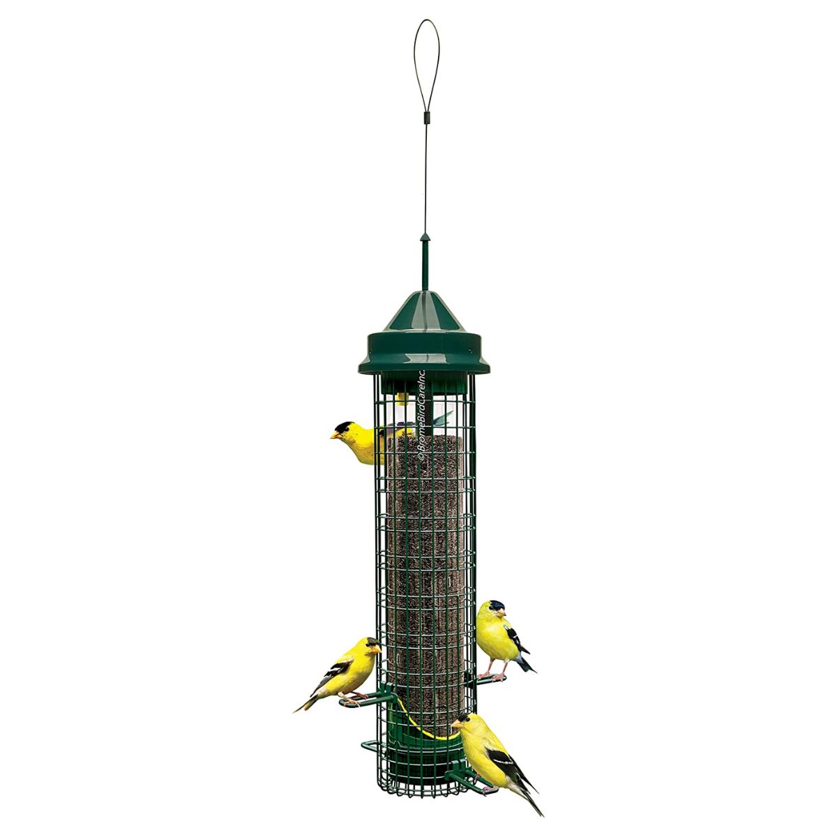 Brome Bird Care - Squirrel Buster Finch