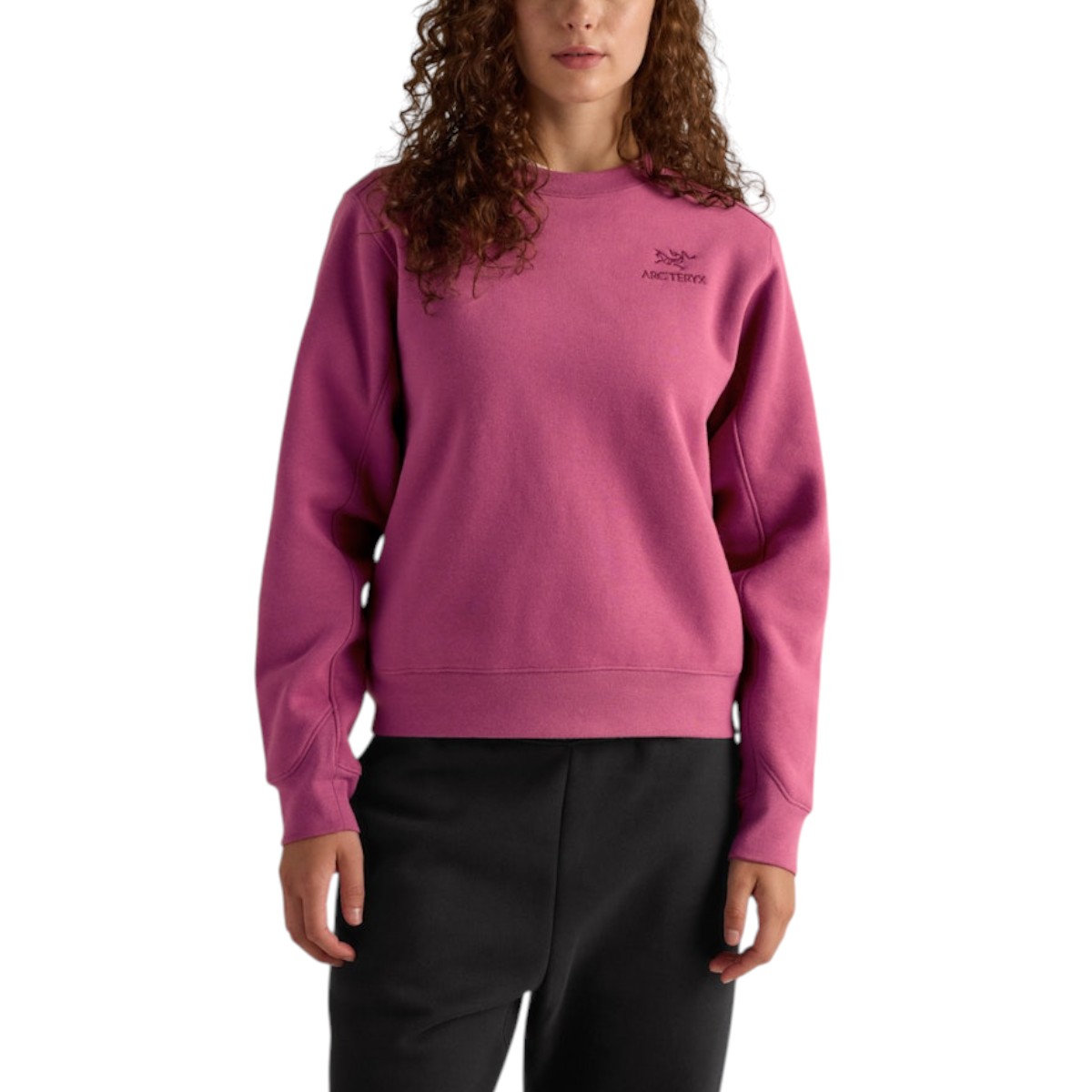 Arc'teryx - Chandail à col rond en polaire Emblem pour femme