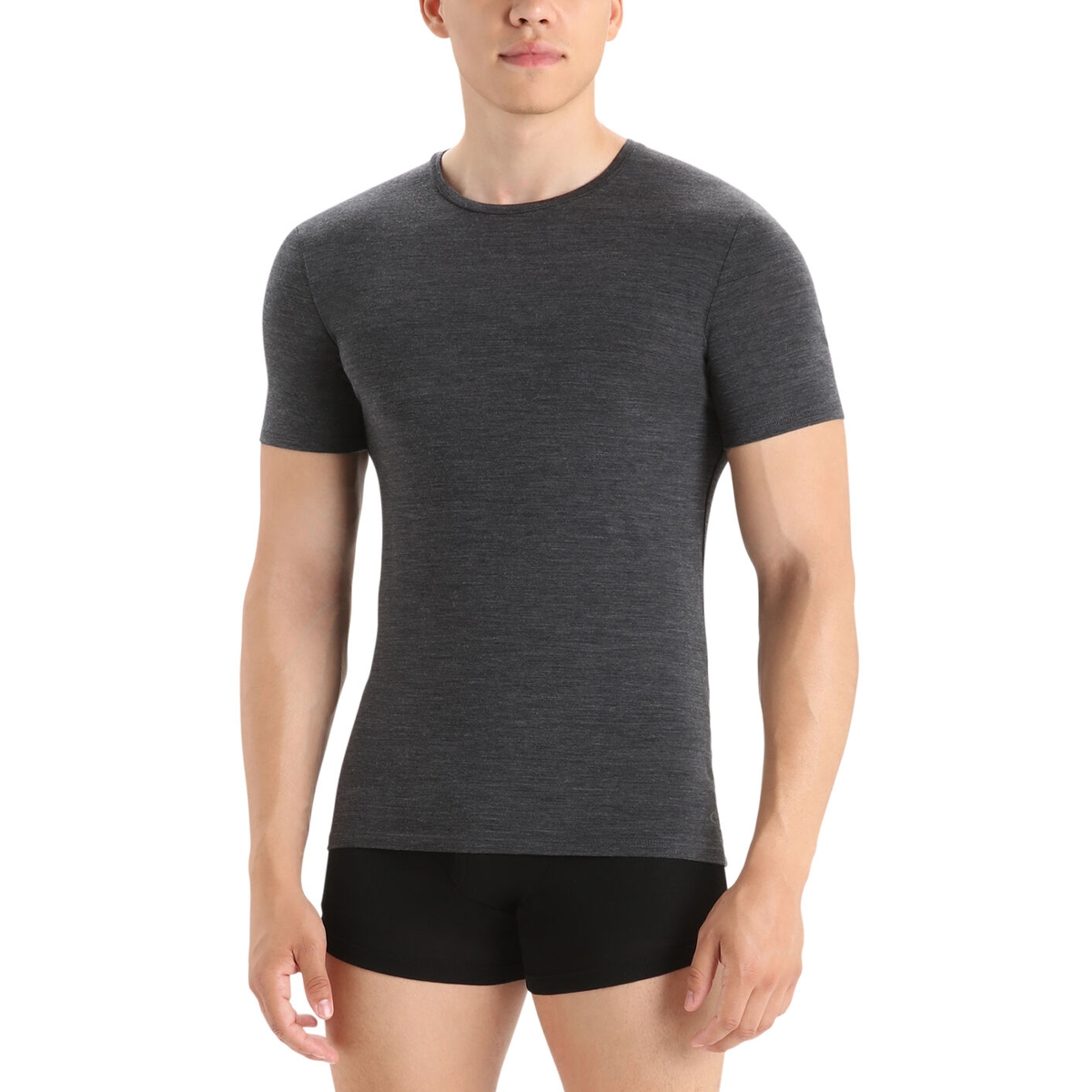 Icebreaker - Men's Merino Anatomica Short Sleeve T-Shirt