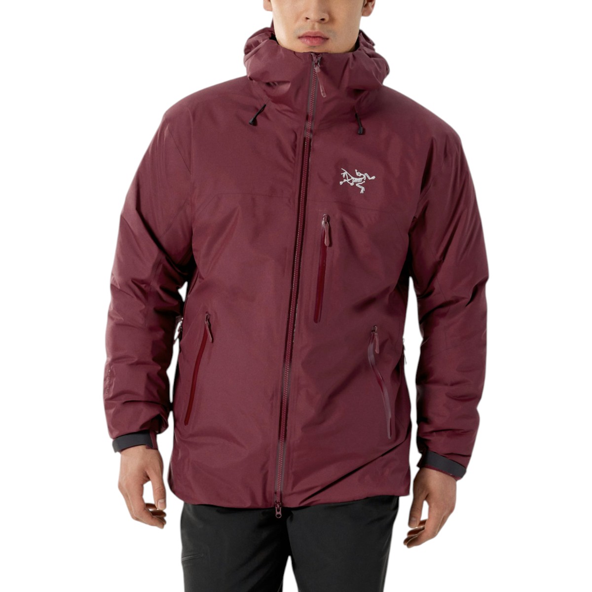 Arc'teryx - Men's Beta Insulated Jacket