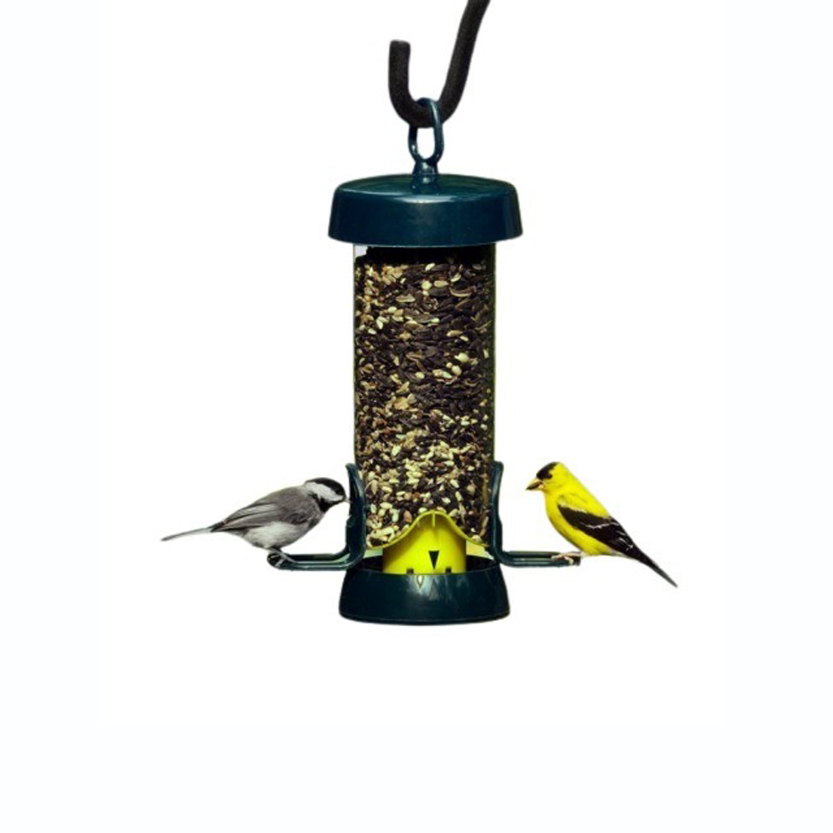 Brome Bird Care - Solution 100 Bird feeder