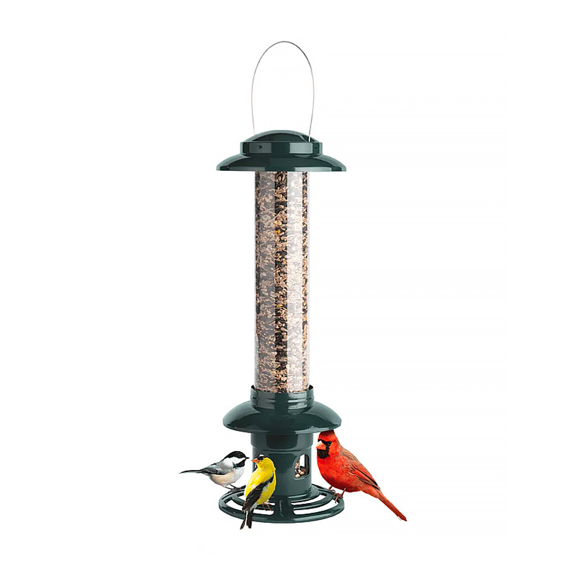 Brome Bird Care - Squirrel Buster Evolution