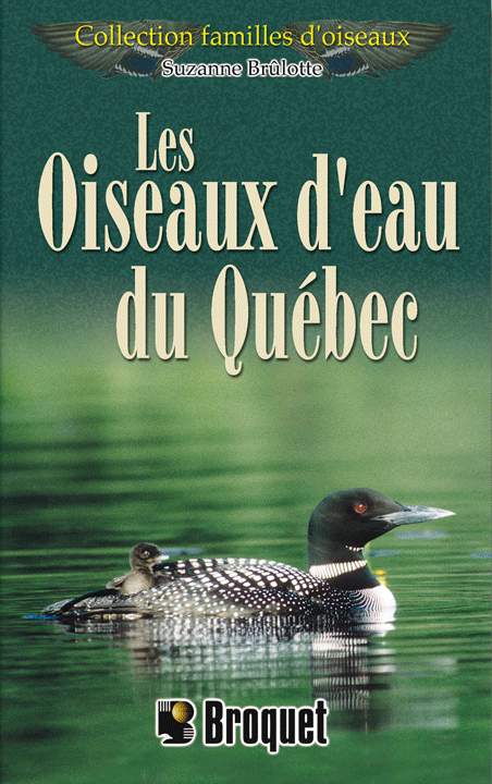 Broquet - Les oiseaux d'eau du Québec