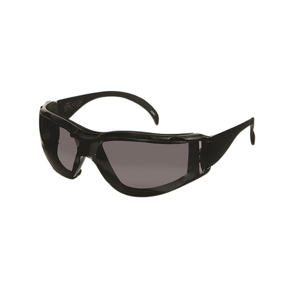 Dentec Safety - Ceetec DX Anti-Fog Safety Glasses with Foam Insert