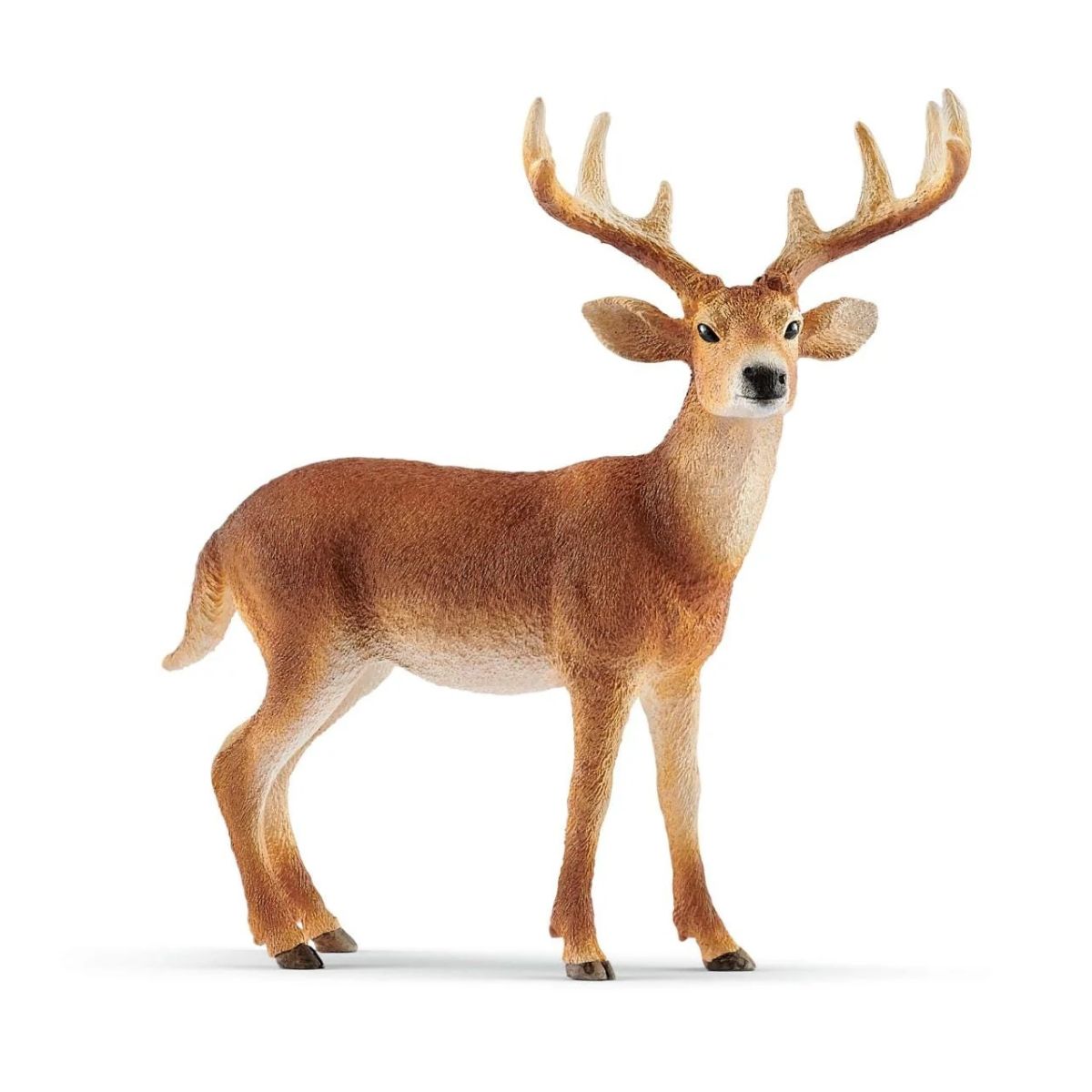 Schleich - White-Tailed Deer Figurine
