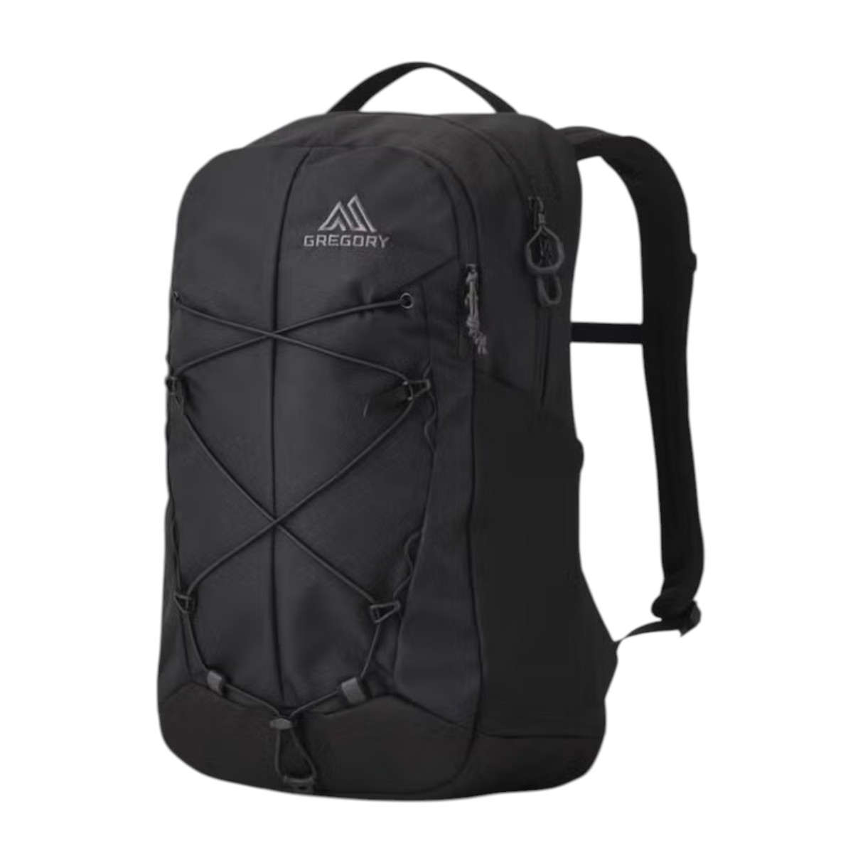 Gregory - Sac à dos Terros 20
