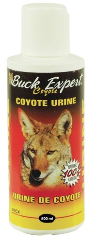Urine de coyote 07C500ML Buck Expert Latulippe