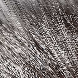 SHOR Fishing - Silver Fox