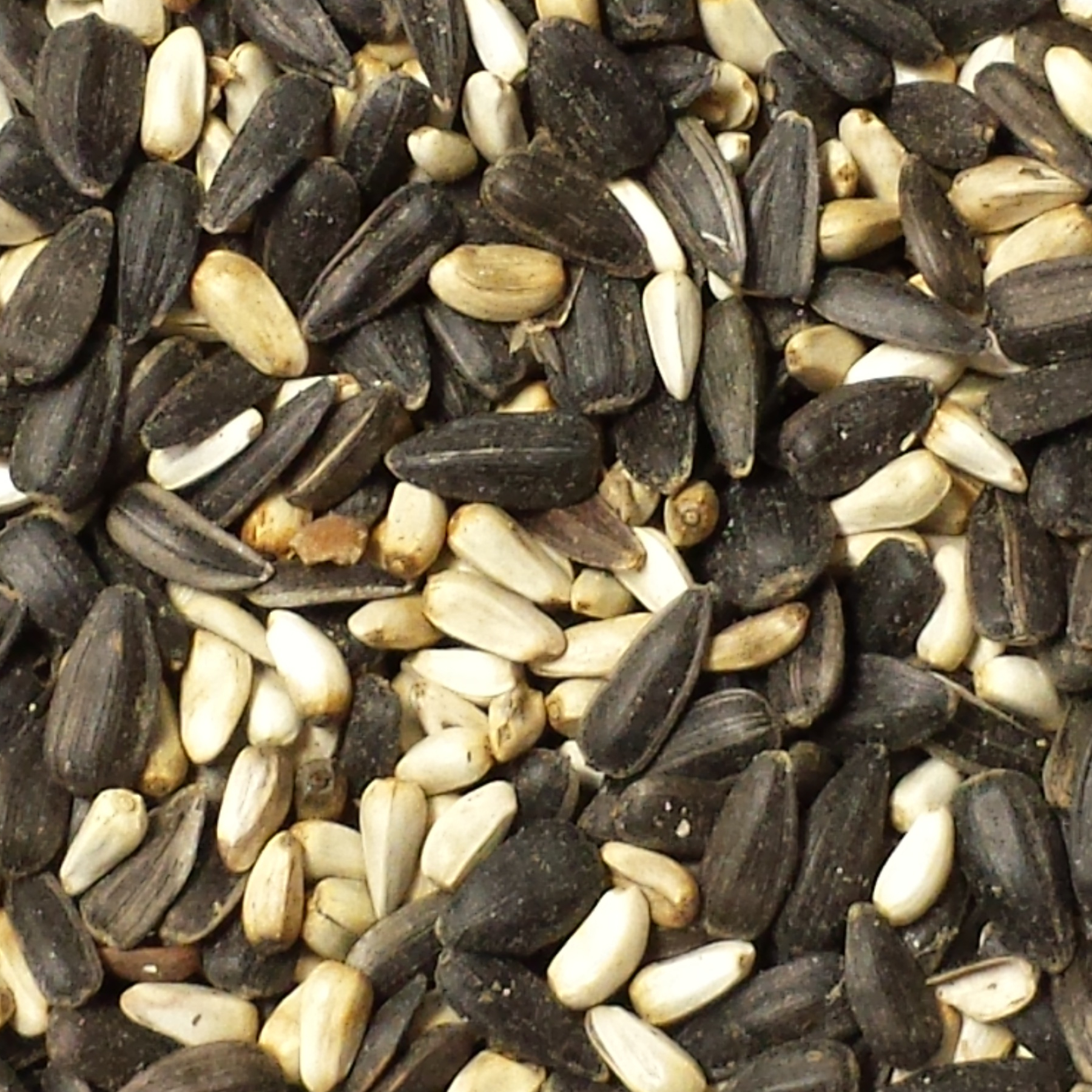 Mill Creek Seed Co - Cardinal Seed 10 lb Bag