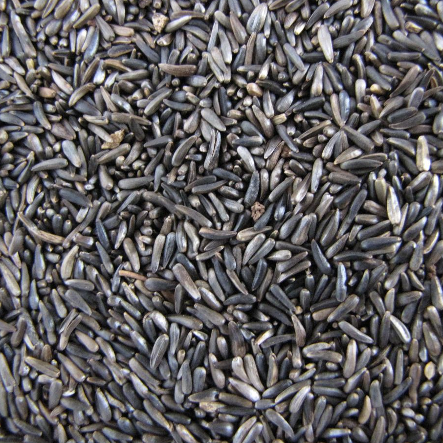 Mill Creek Seed Co - Sac de graines de nyger pour oiseaux de 5 lb