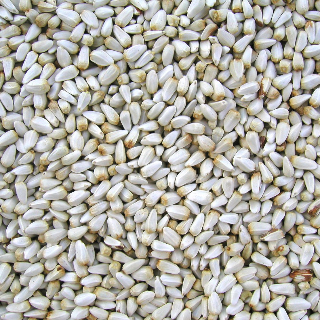 Mill Creek Seed Co - Cathame Bird Seed 5 lb Bag