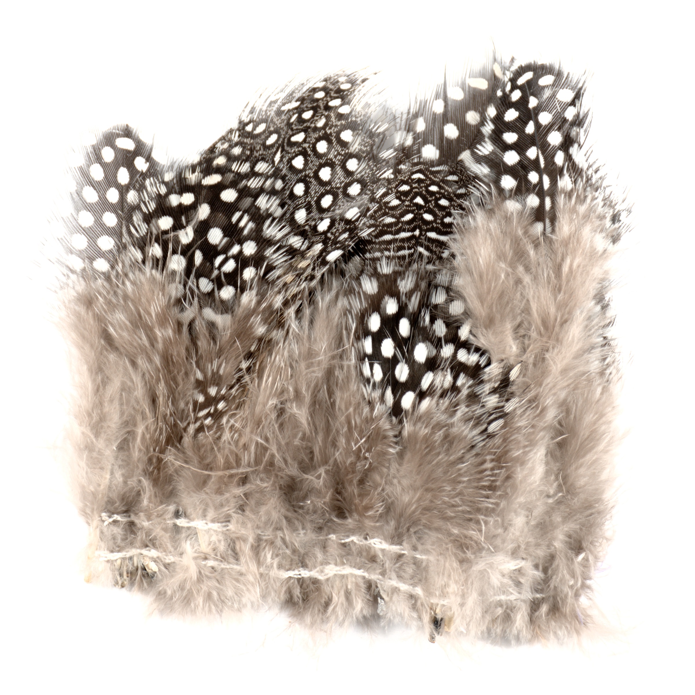 Serge Boulard Inc. - Stitch Natural Guinea Fowl