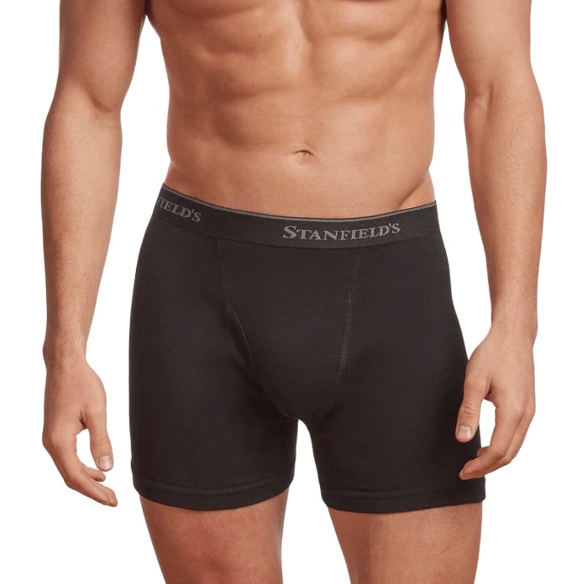 Stanfield's - Boxer-brief en coton Premium pour homme - Paquet de 2