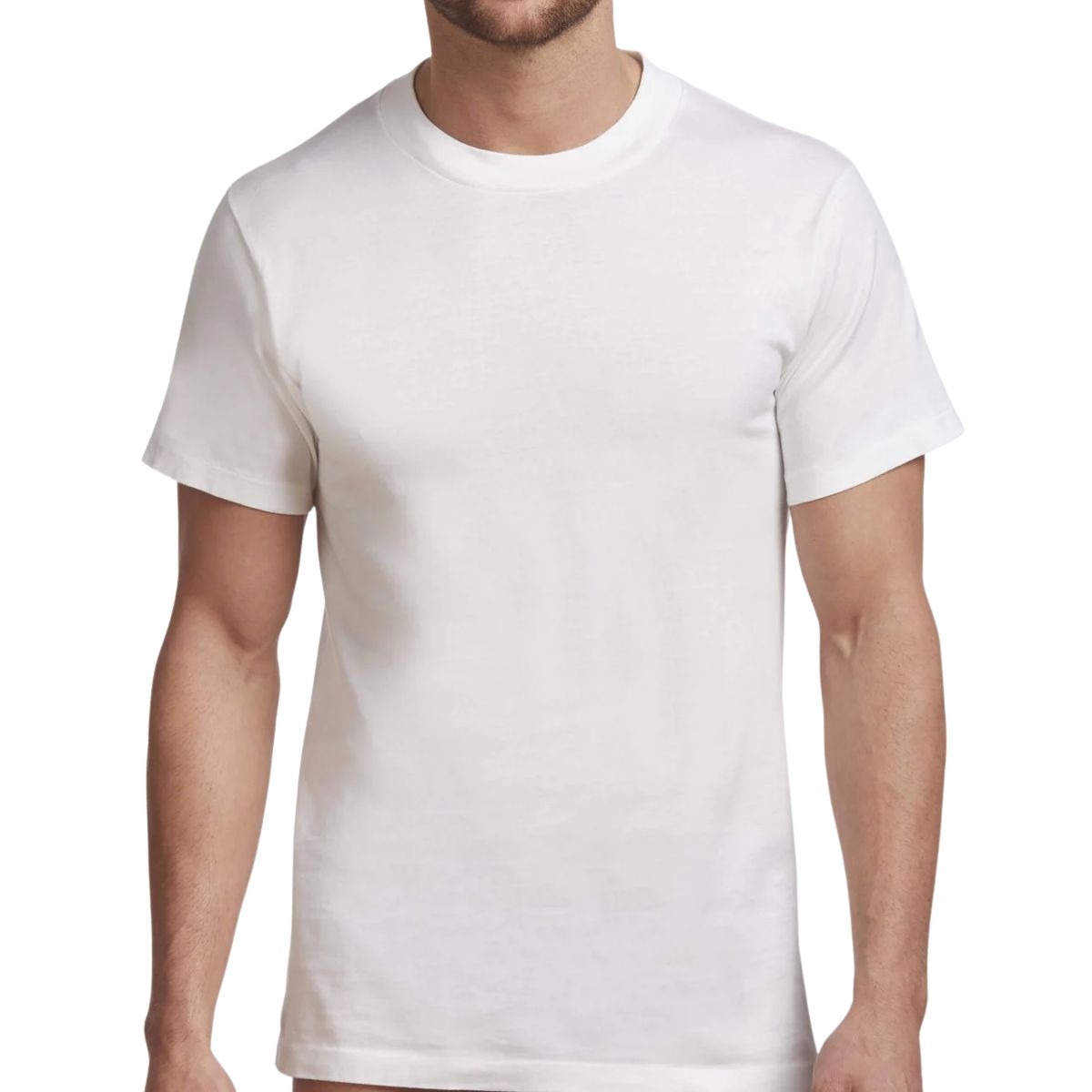 Stanfield's - Men's Premium Round Neck T-Shirt - Pack of 2