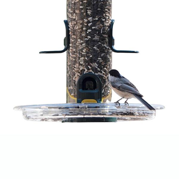 Brome Bird Care - Tube Solutions Tray