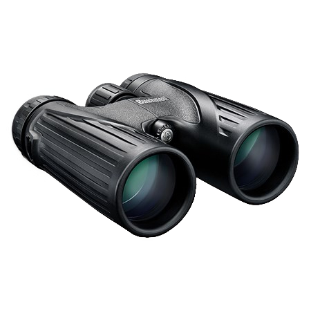 Bushnell best sale legend 8x32