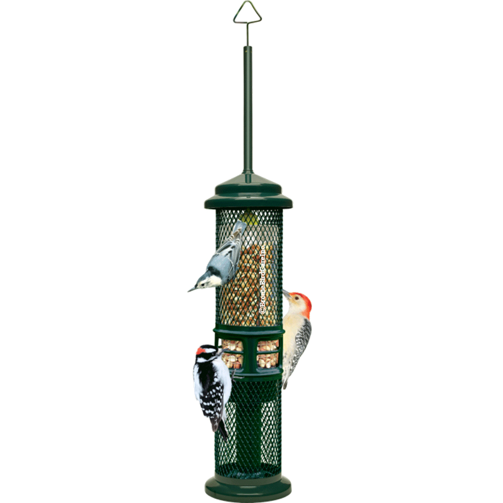 brome squirrel buster peanut plus squirrel proof 1052 bird feeder