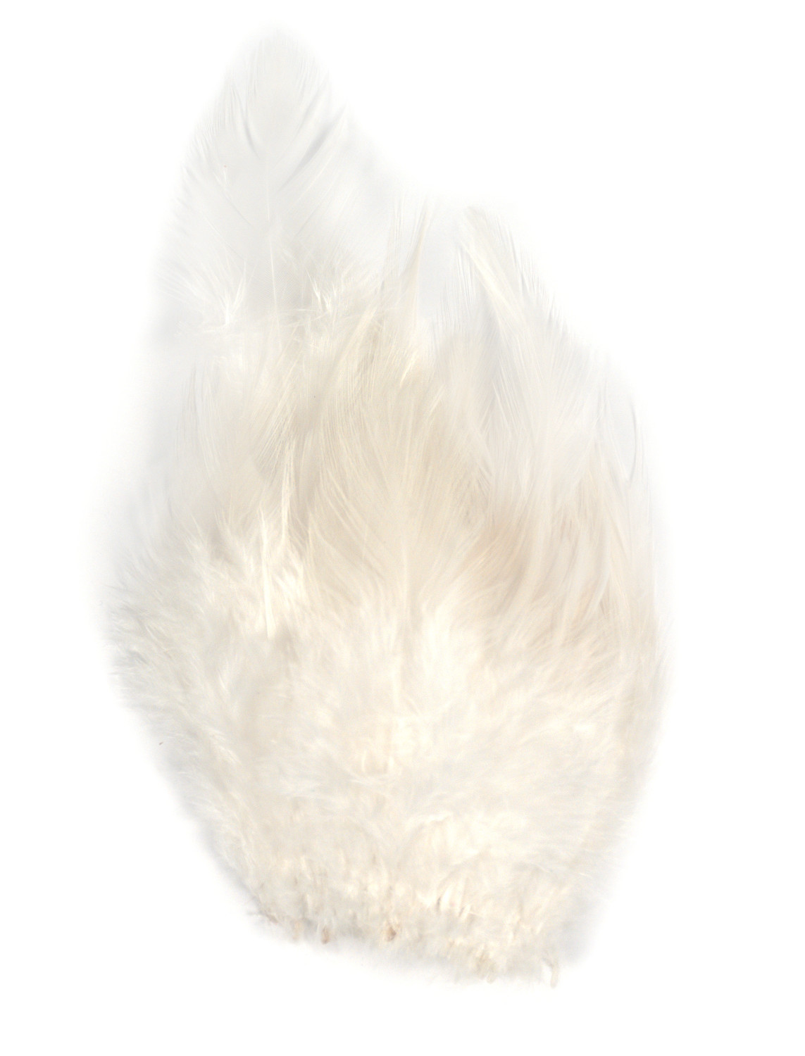 SHOR Fishing - Saddle Hackle 3-5"
