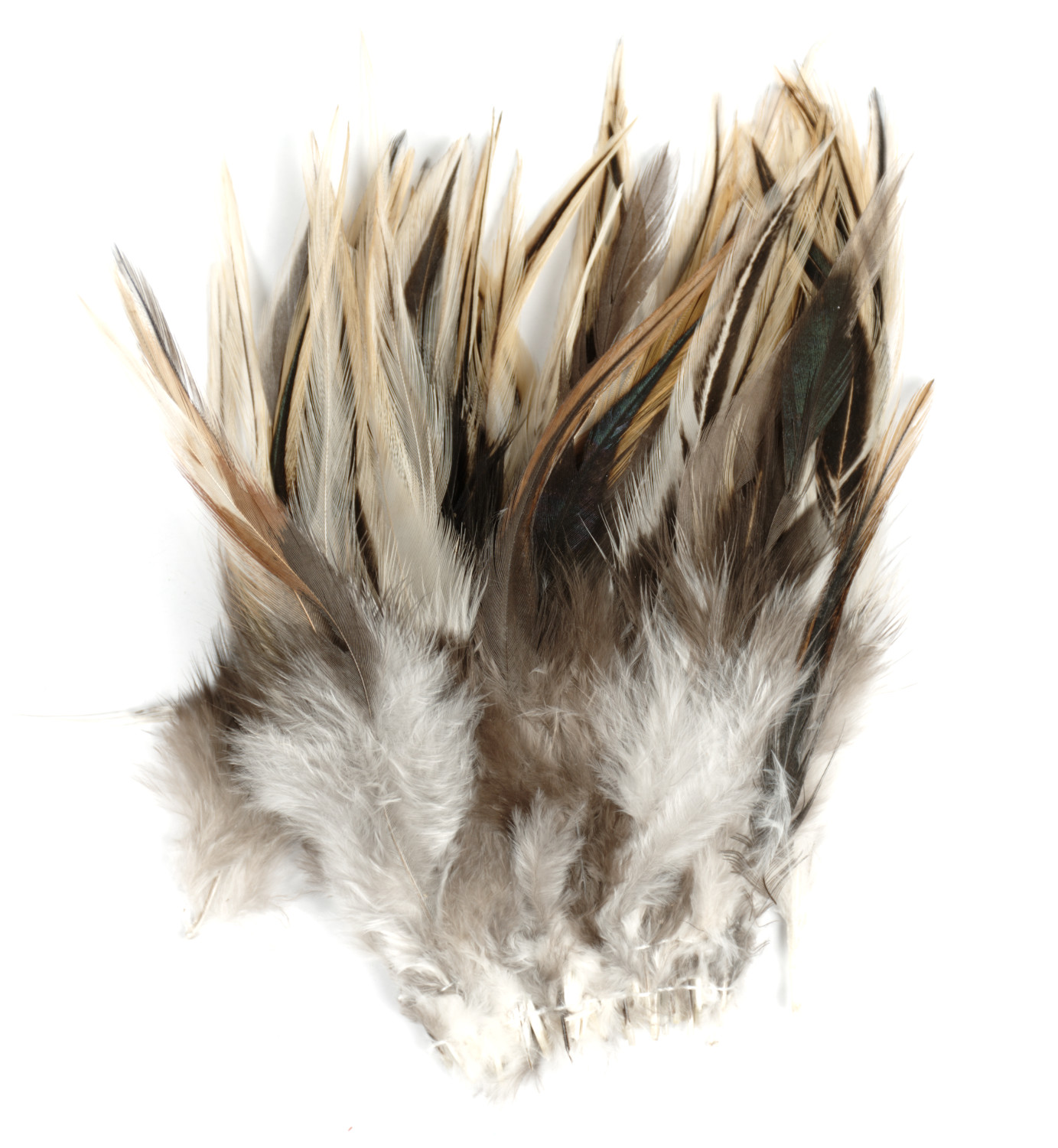 SHOR Fishing - Hackle de selle 3-5"