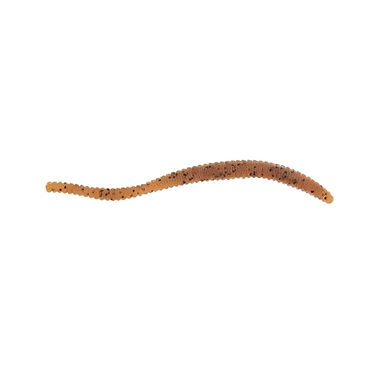 Berkley - PowerBait Power Floating Trout Worm Soft Bait - 3''