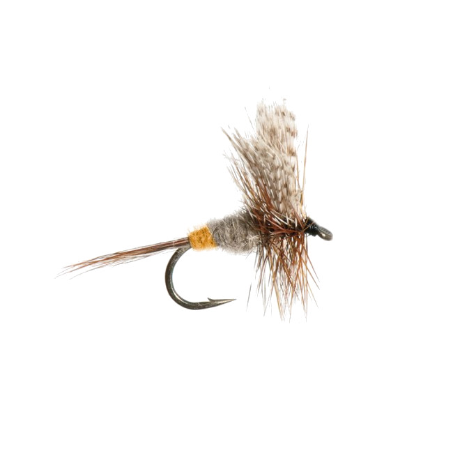 Mouches Neptune Flies - Female Adams Dry Fly