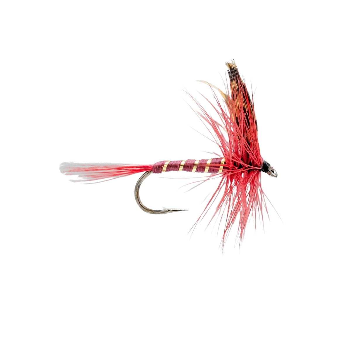 Mouches Neptune Flies - Dark Montreal Dry Fly