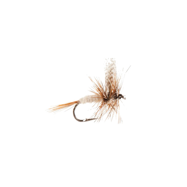 Mouches Neptune Flies - Gray Fox Dry Fly
