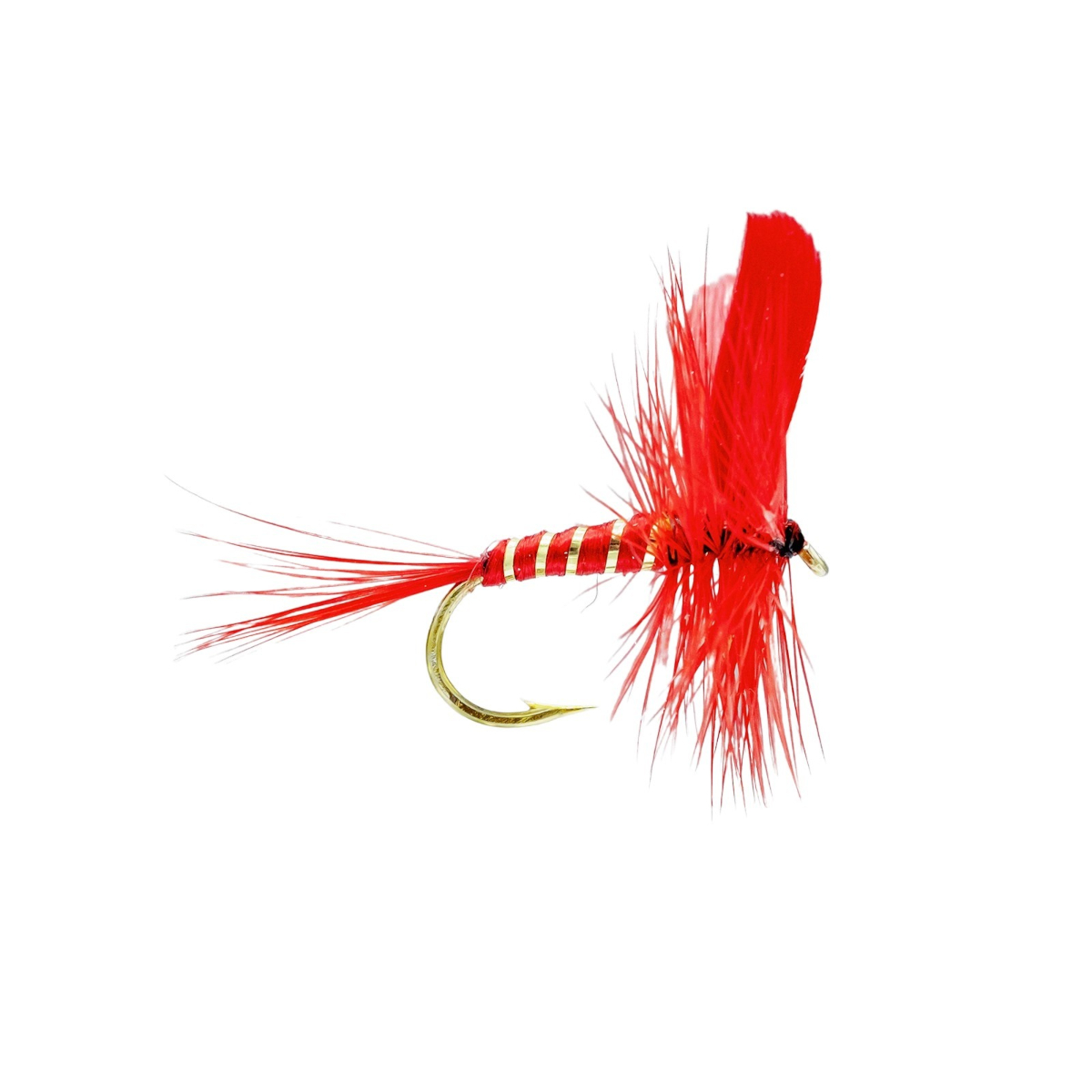 Mouches Neptune Flies - Red Ibis Dry Fly