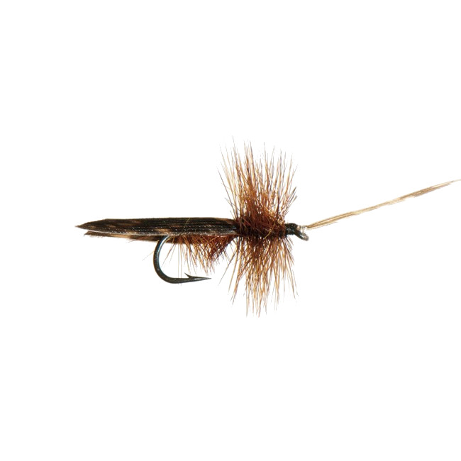 Mouches Neptune Flies - Tent Caddis Dry Fly