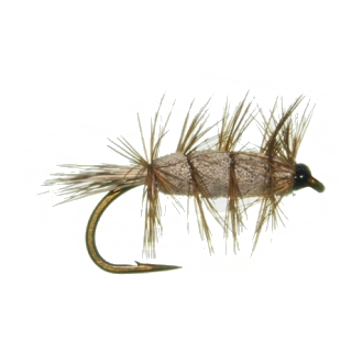 Shadow Flies - Brown Bug Fly