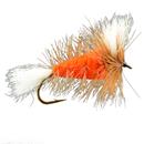 Shadows - Wulff Bomber - YELLOW - White Tail - Brown Hackle. - Bombers -  L'ami du moucheur