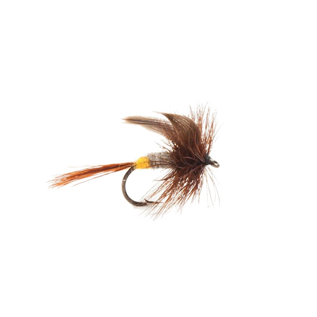 Mouches Neptune Flies - Female Beaverkill Dry Fly