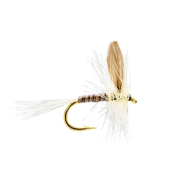 Mouches Neptune Flies - Ginger Quill Dry Fly