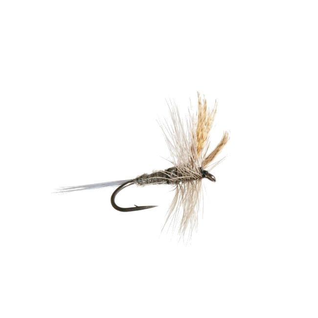 Mouches Neptune Flies - Hendrickson Dark Dry Fly