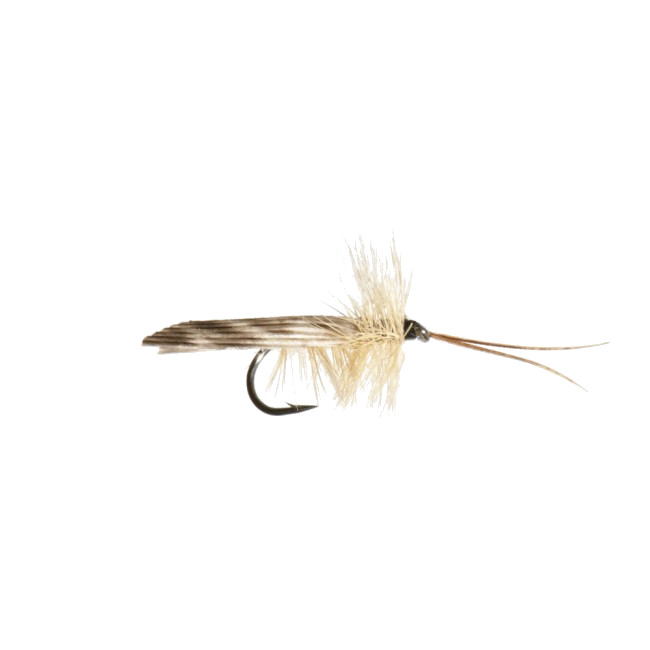 Mouches Neptune Flies - Tent Caddis Dry Fly
