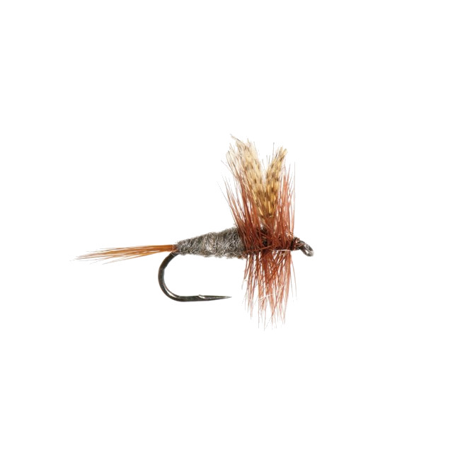 Mouches Neptune Flies - Dark Cahill Dry Fly