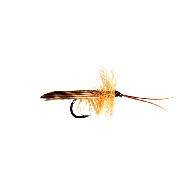 Mouche Sèche Fliegentom Tom's S-Dun – Lot De 3 – Orange – Pour Truite