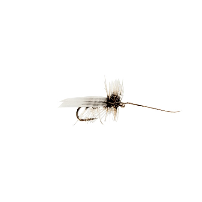 Mouches Neptune Flies - Tent Caddis Dry Fly