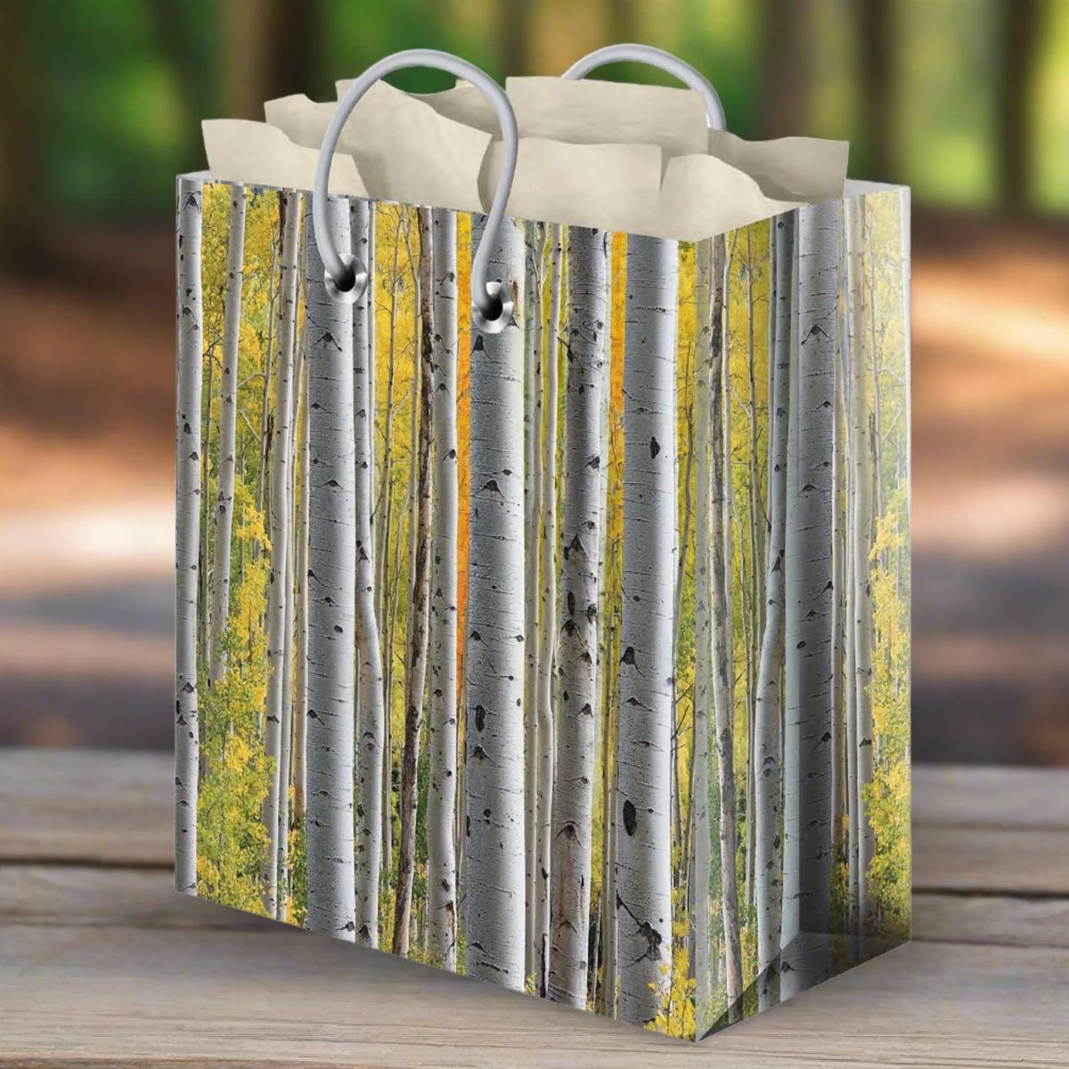 Rivers Edge Products - Sac cadeau Bouleau avec papier de soie - Large
