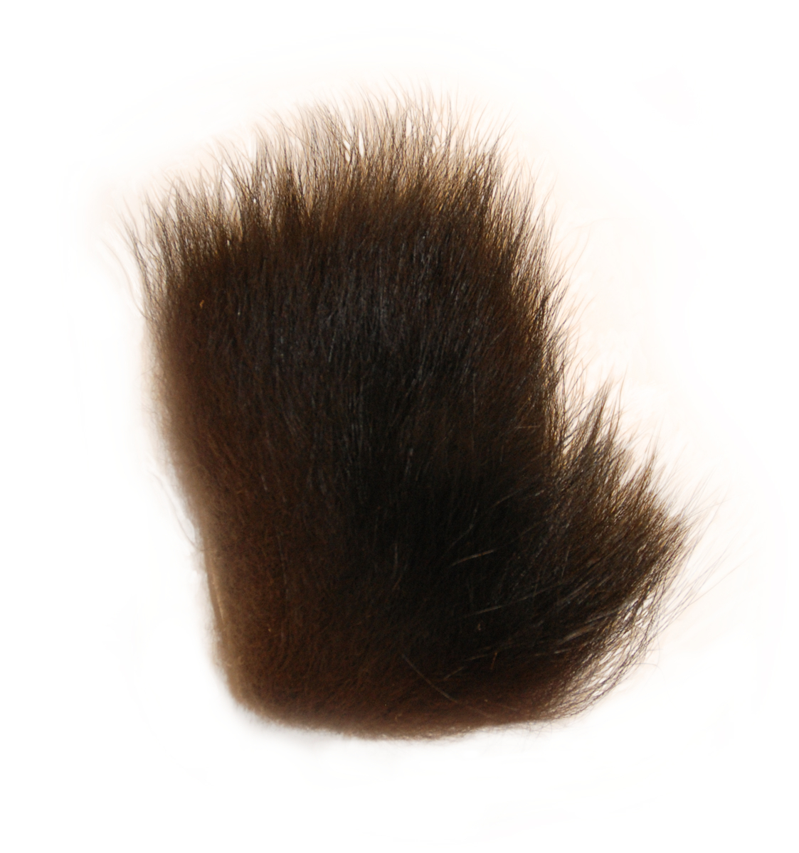 Black Bear Fur 2 X 3 Serge Boulard Inc Latulippe