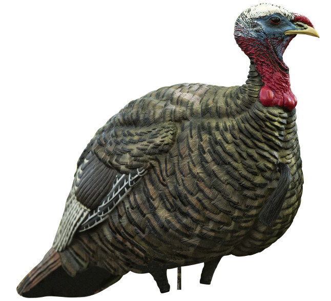 Lcd Jake Quarter Strut Decoy Avian X Latulippe