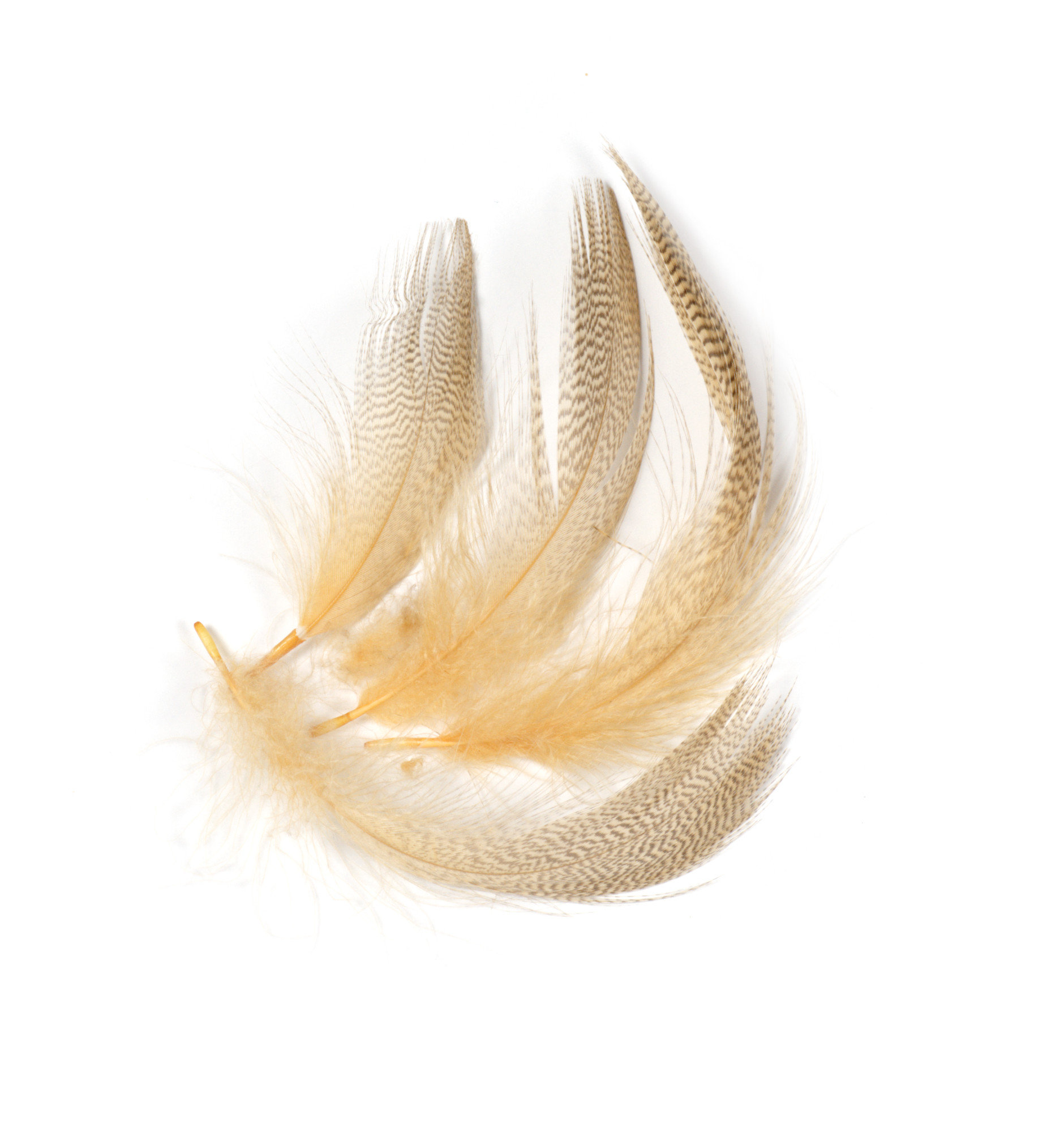 SHOR Fishing - Plumes de flanc de mallard teintes