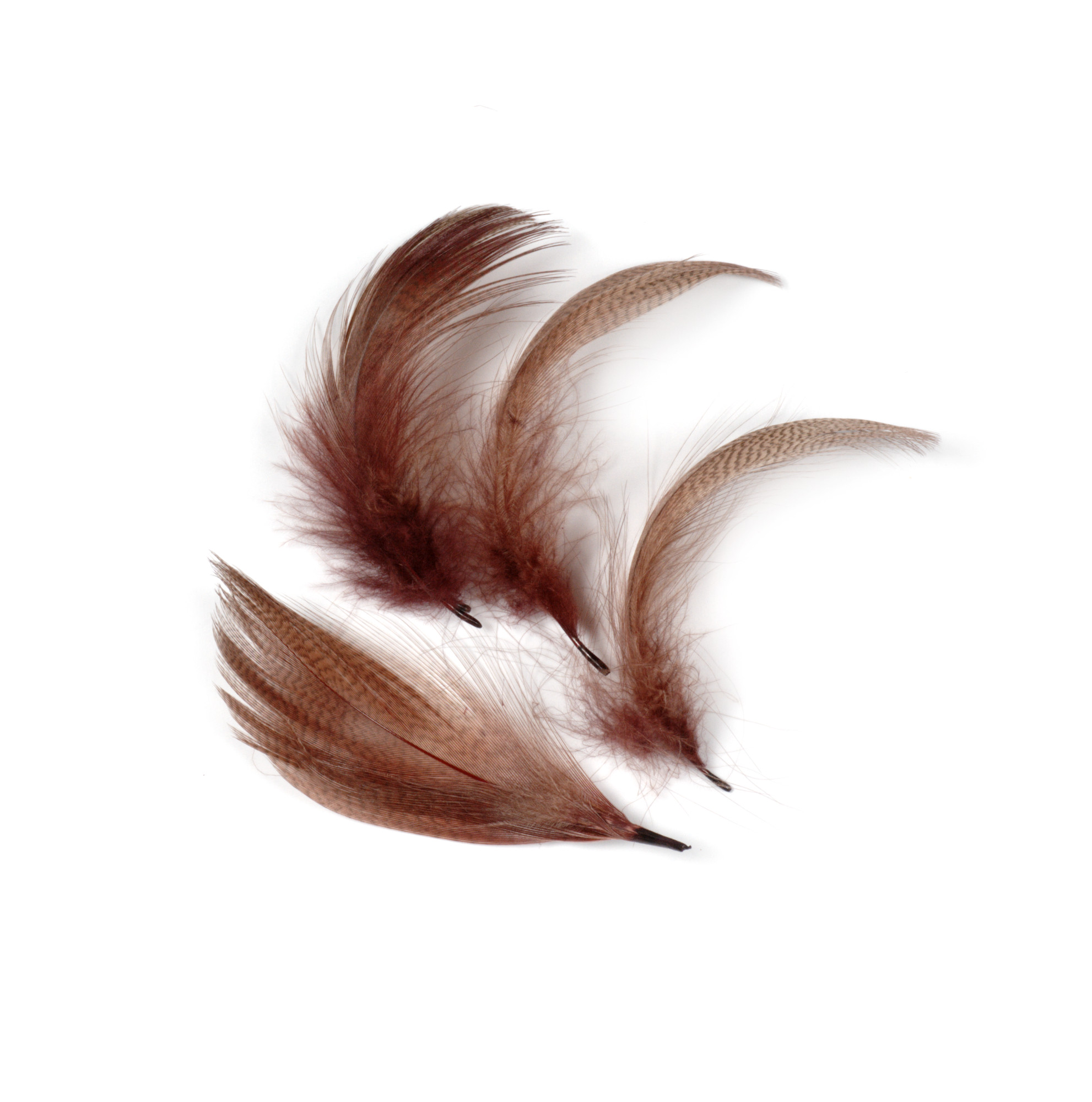 SHOR Fishing - Dyed Mallard Flank Feathers